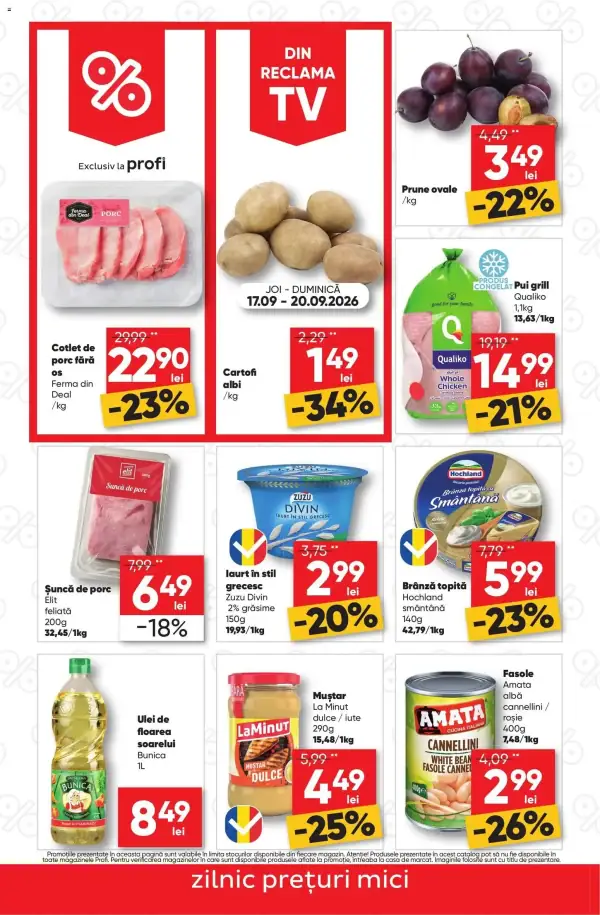 Pagina 2