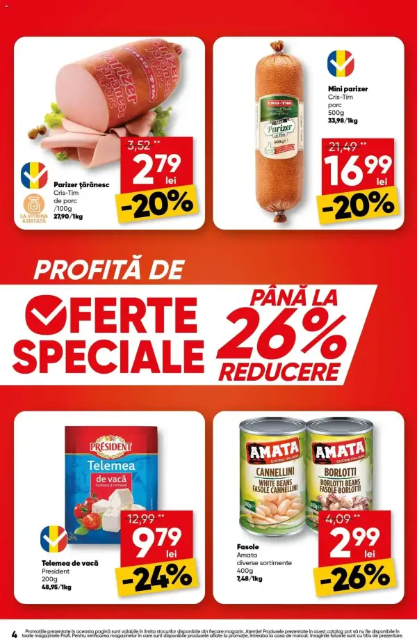 Pagina 4