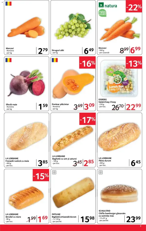 Pagina 3