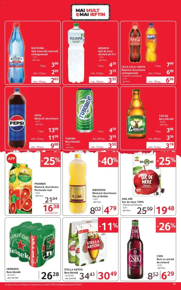 Pagina 13