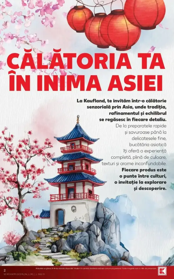 Pagina 2