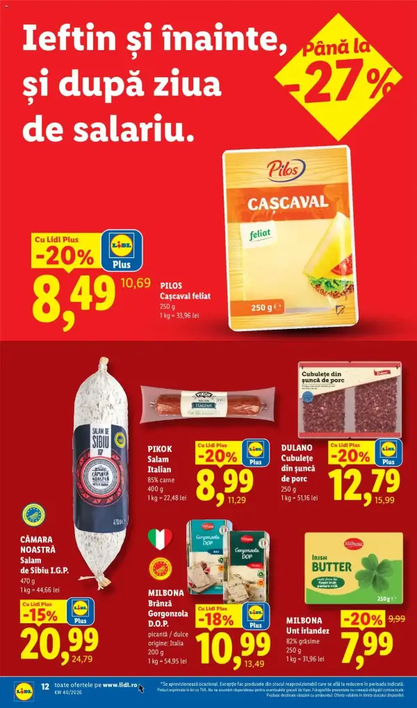 Pagina 12