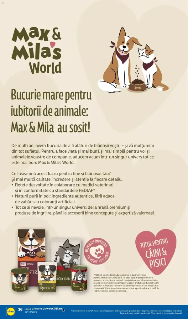 Pagina 36