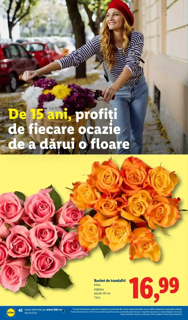 Pagina 42