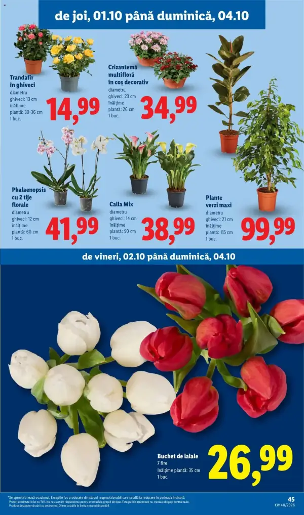 Pagina 45