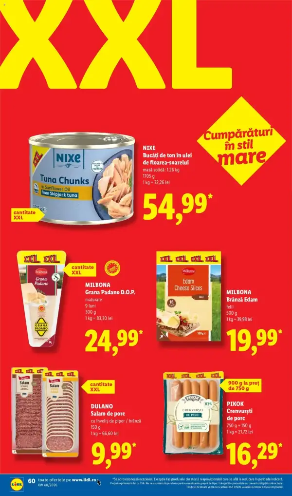 Pagina 60