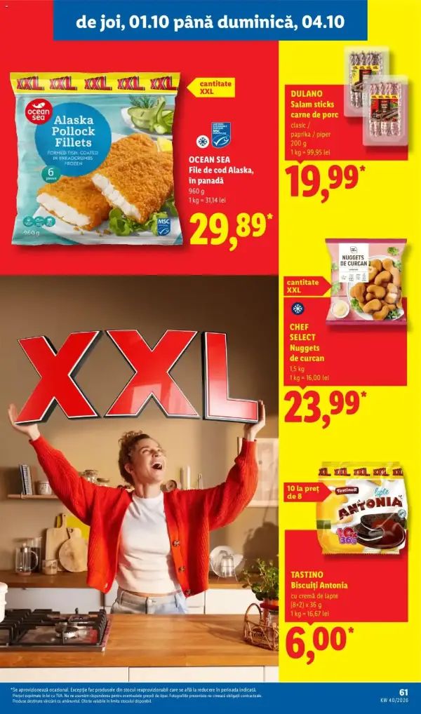 Pagina 61