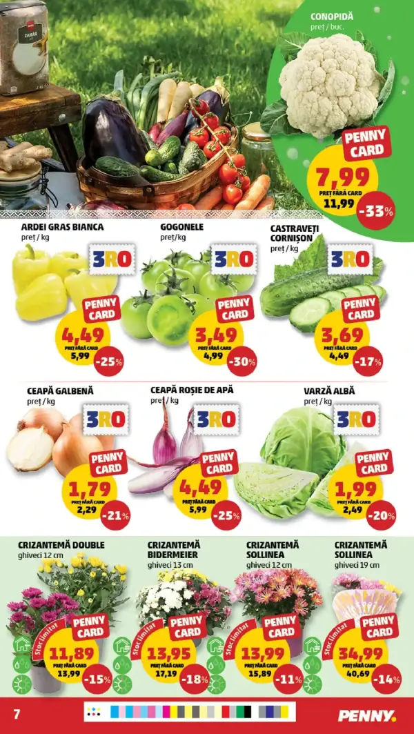 Pagina 7