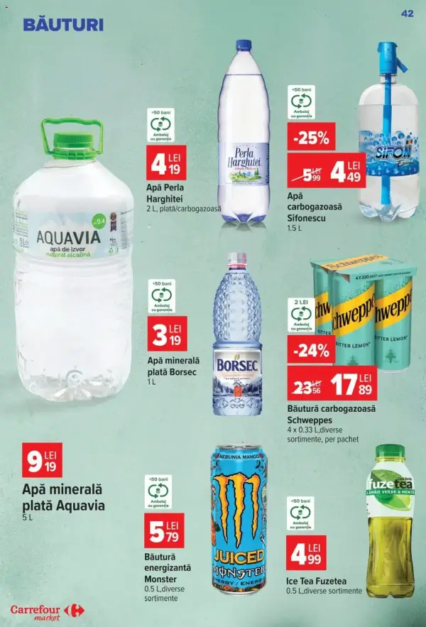 Pagina 42