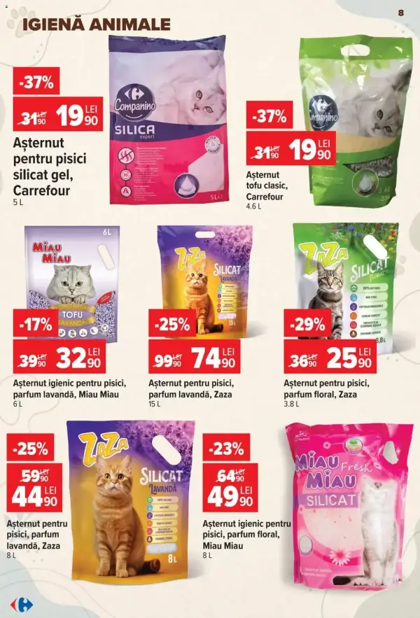 Pagina 8