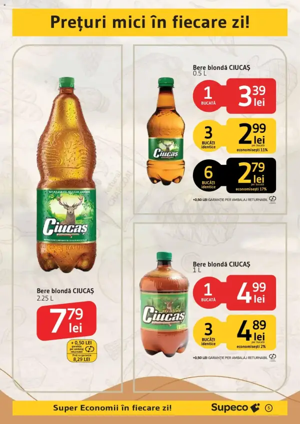 Pagina 5