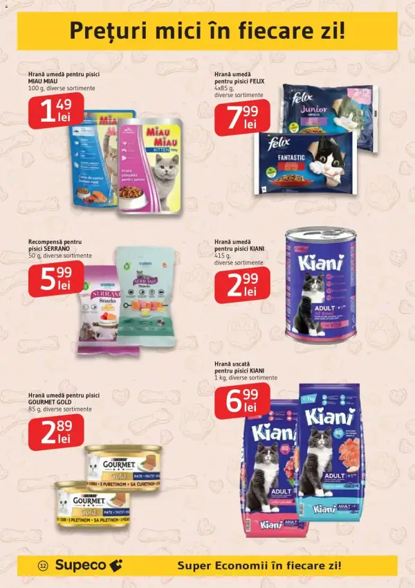 Pagina 12