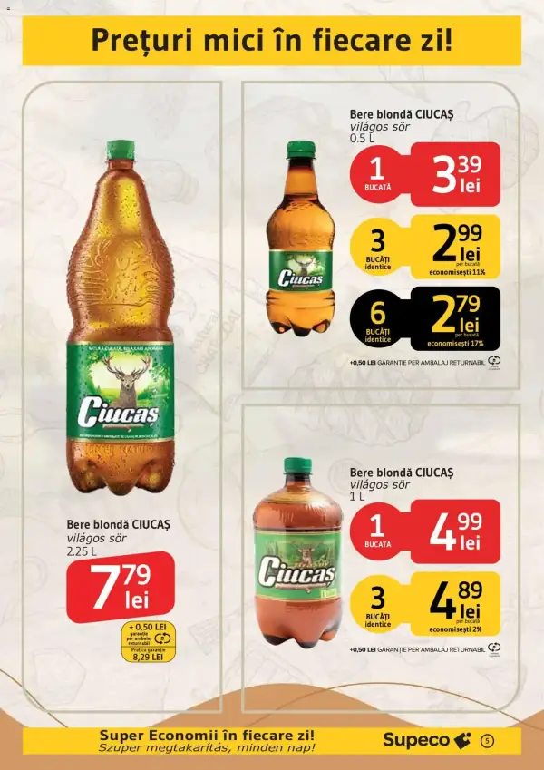 Pagina 5