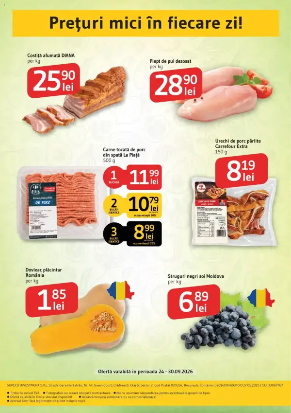 Pagina 2