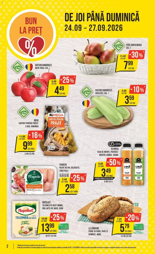 Pagina 2