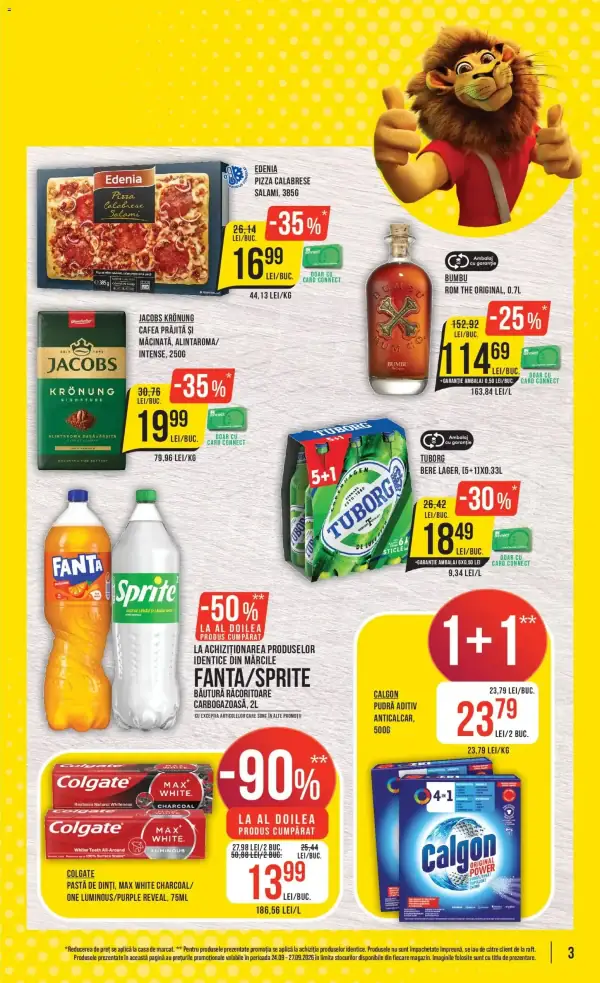 Pagina 3