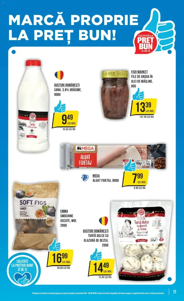 Pagina 11