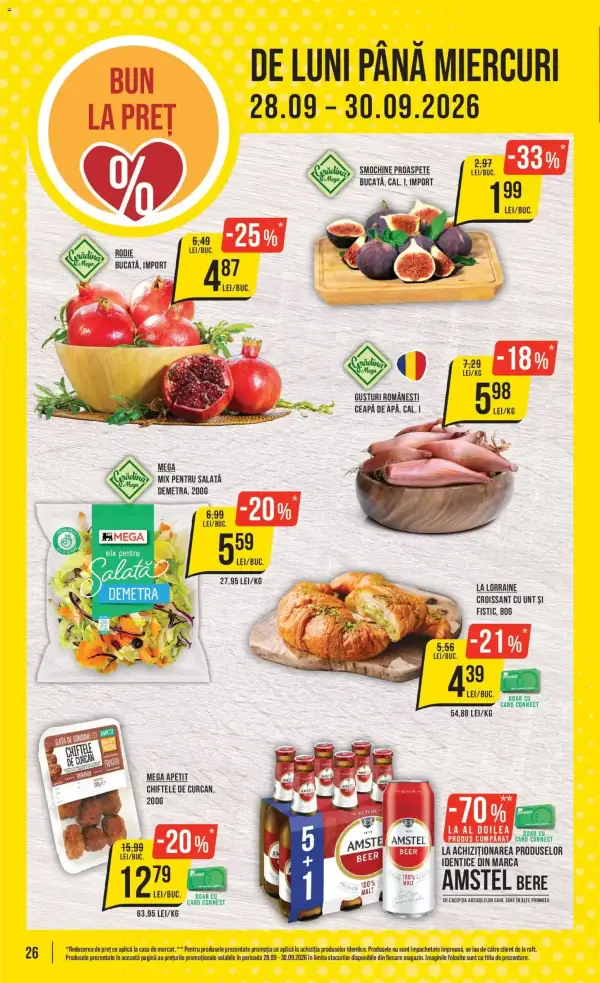 Pagina 26