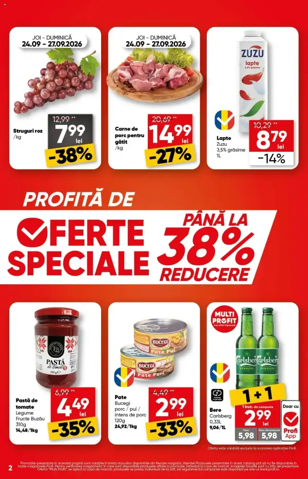 Pagina 2