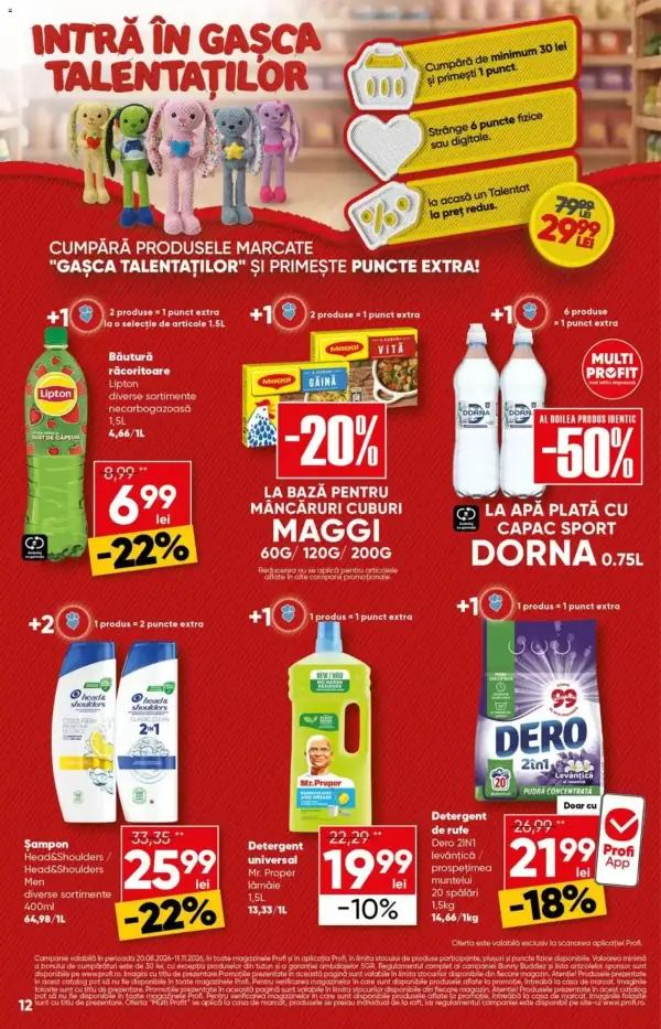 Pagina 12