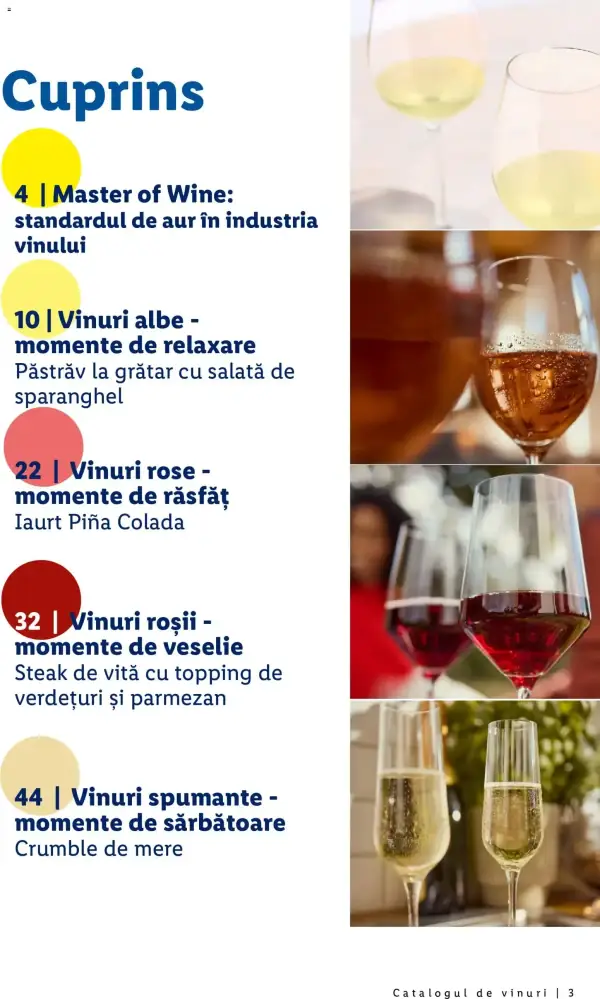 Pagina 3