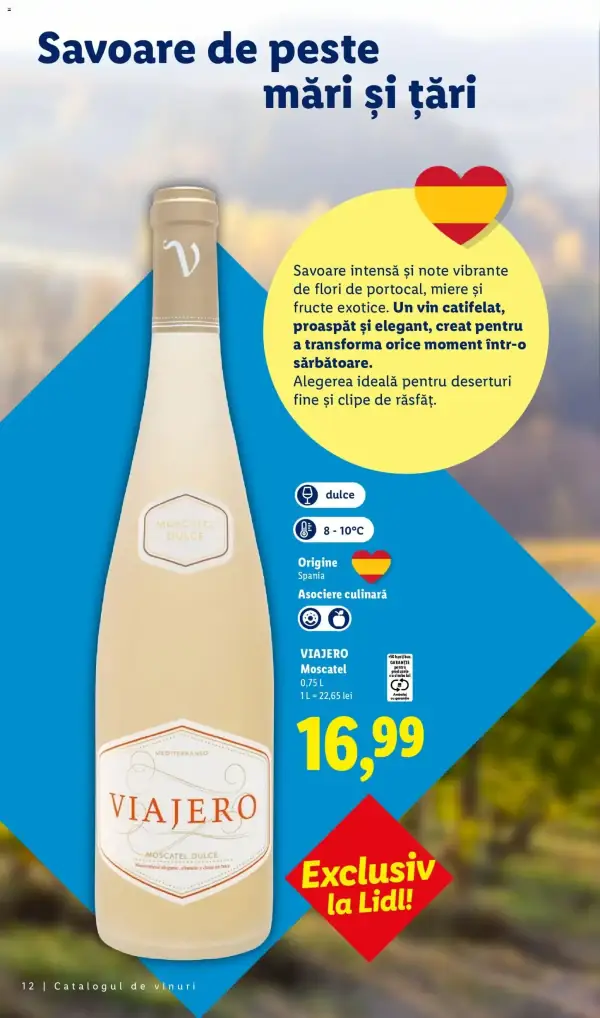 Pagina 12