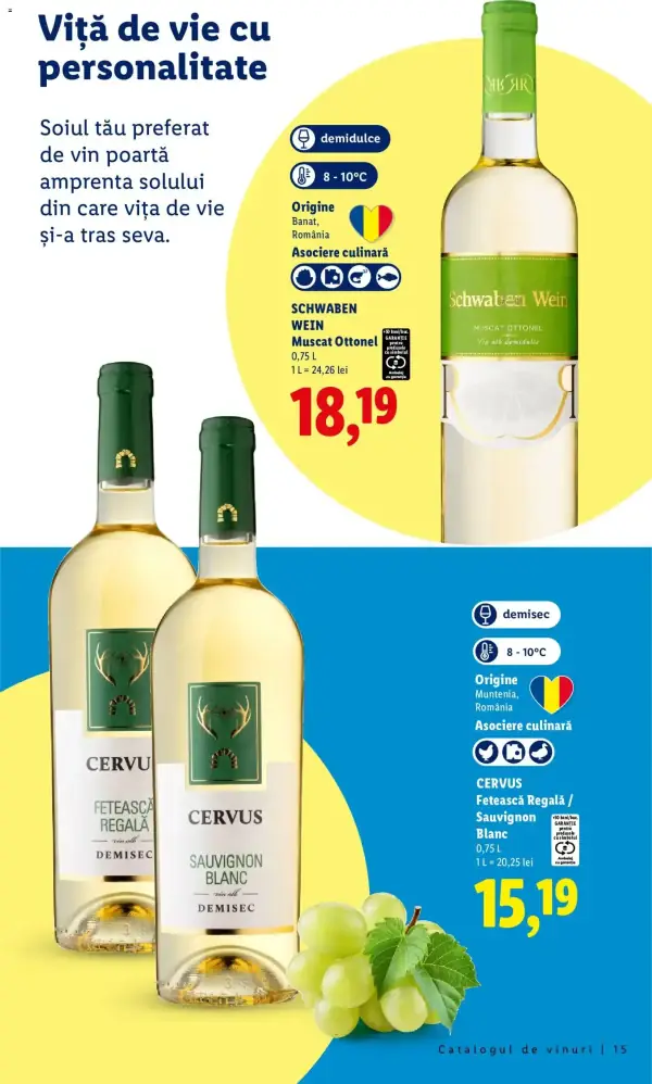 Pagina 15
