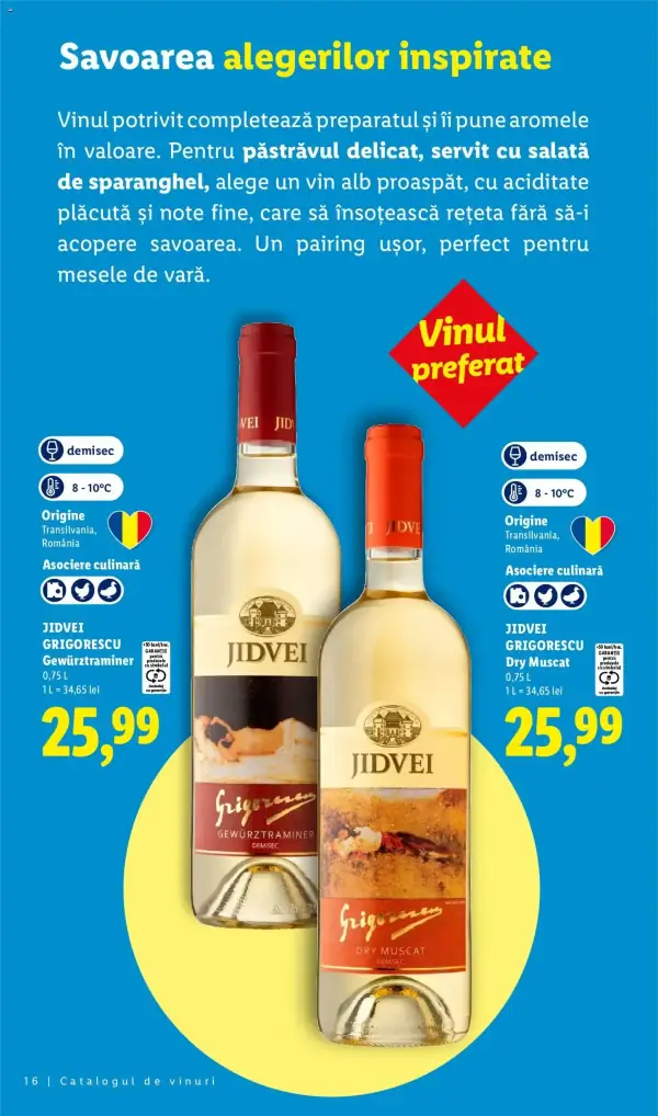 Pagina 16