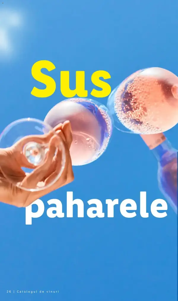 Pagina 26