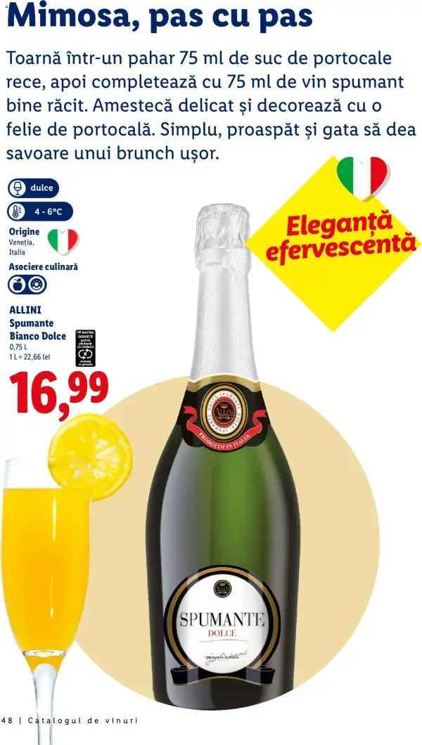Pagina 48