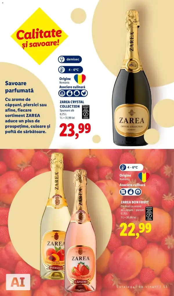 Pagina 53