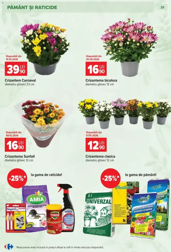 Pagina 29