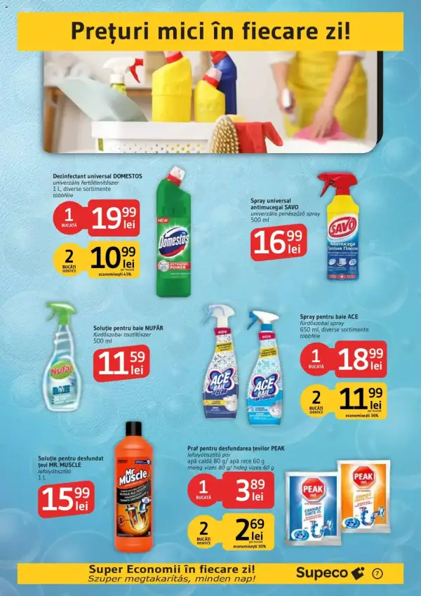 Pagina 7