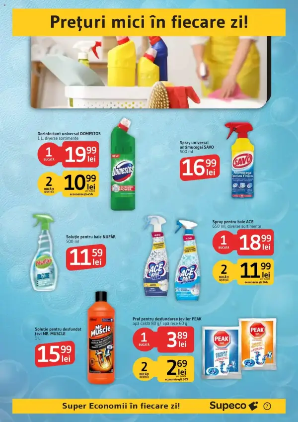 Pagina 7