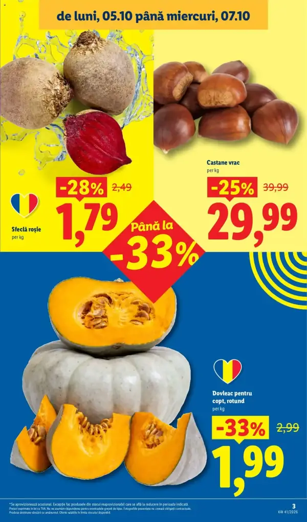 Pagina 3