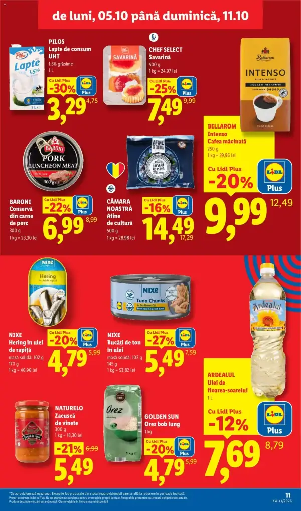 Pagina 11