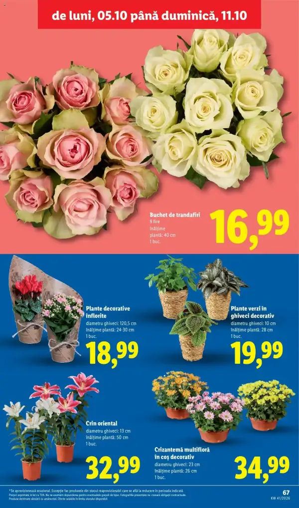 Pagina 67