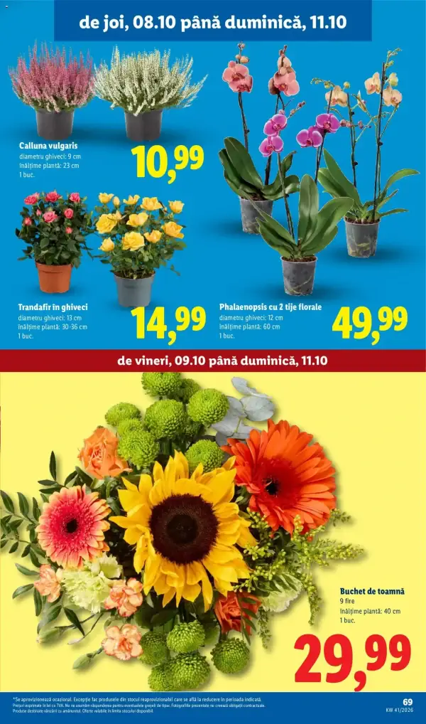 Pagina 69