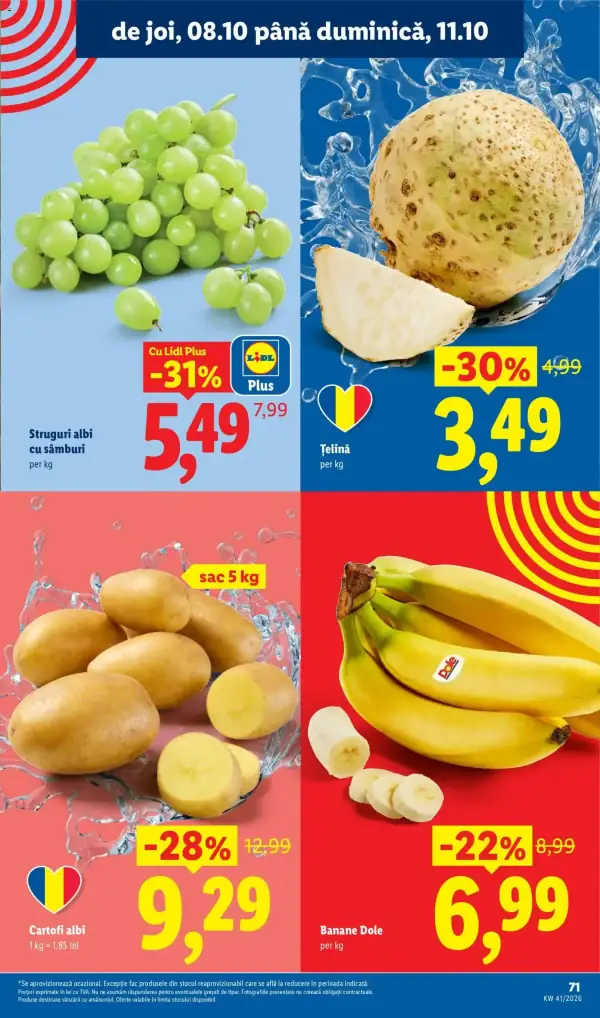 Pagina 71