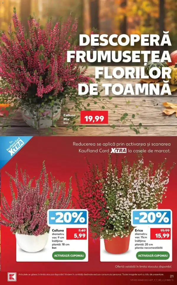 Pagina 21