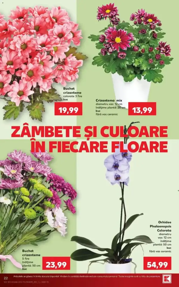 Pagina 22