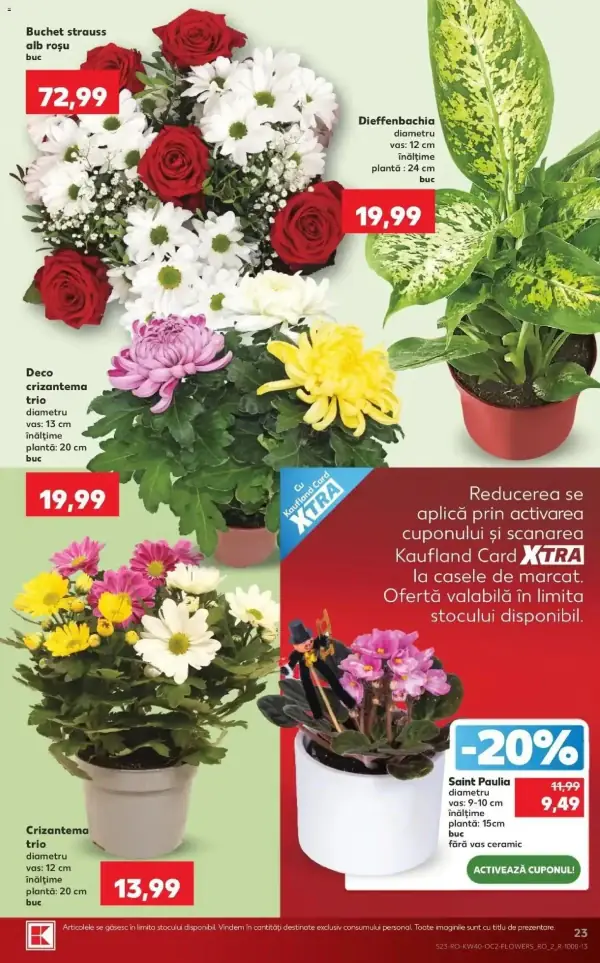 Pagina 23