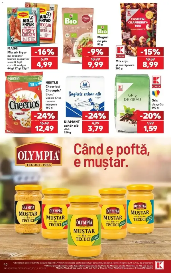 Pagina 40