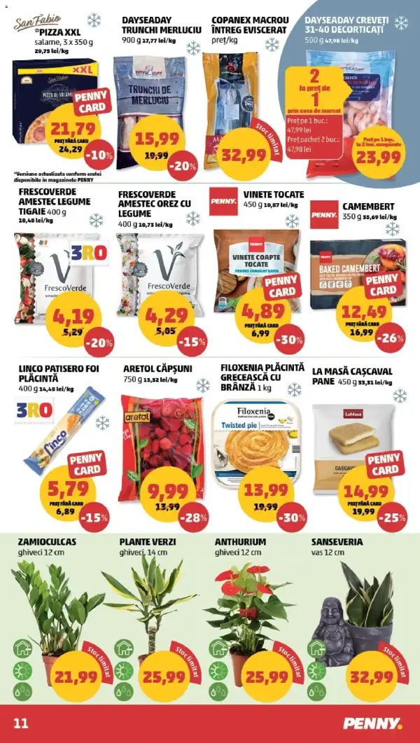 Pagina 11