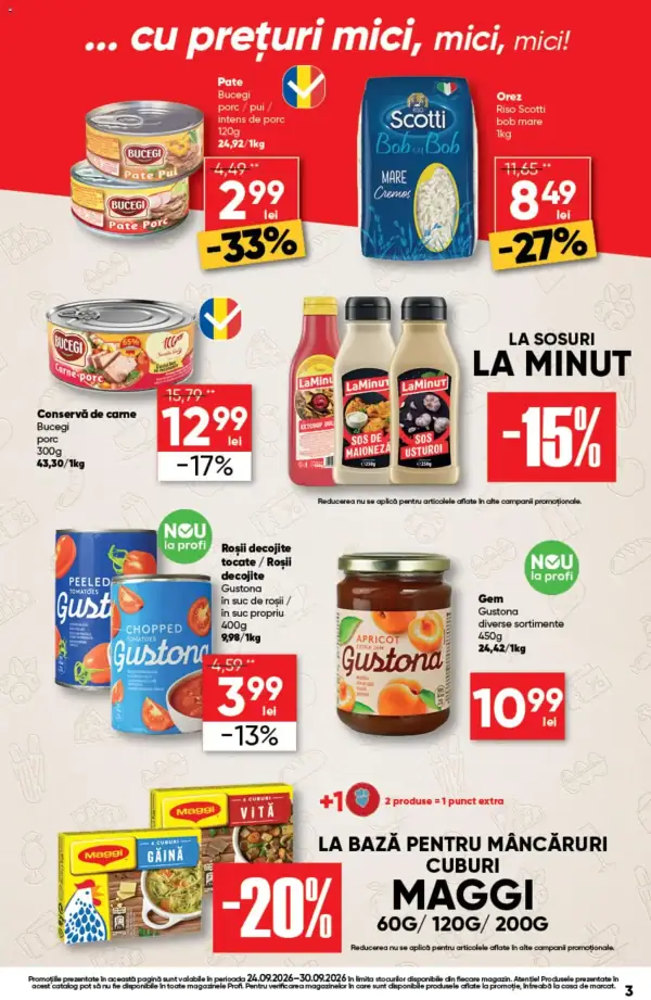 Pagina 3