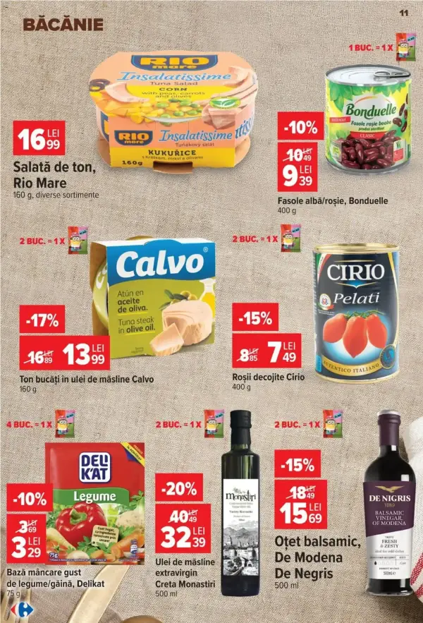 Pagina 11