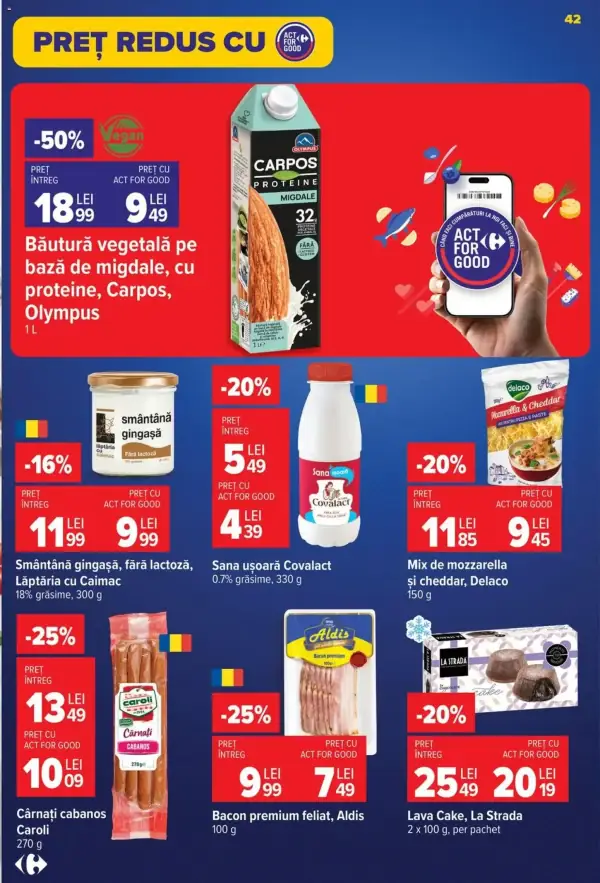 Pagina 42