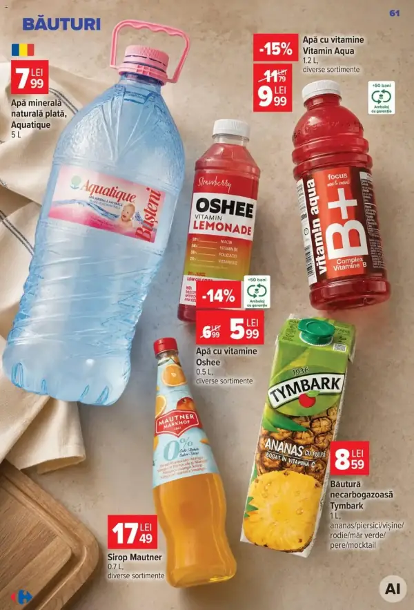 Pagina 61