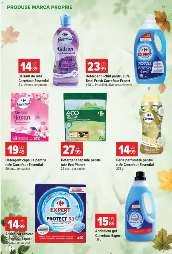 Pagina 11