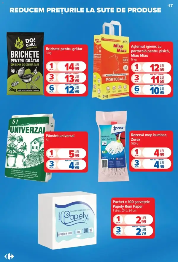 Pagina 17